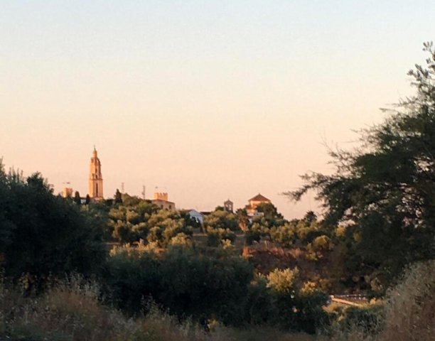 Paisaje desde Ctra Morente